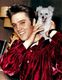 Фото Elvis Presley №6