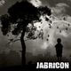  Jabricon 1