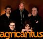  Agricantus 4