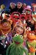  The Muppets 5