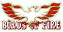  Birds Of Fire 5